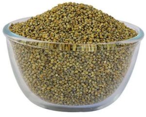 Green Millet Seeds