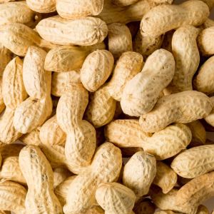 Shelled Peanuts​