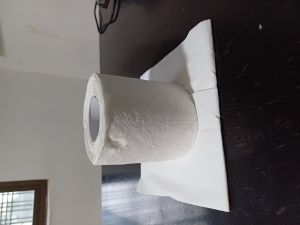 Toilet Paper Roll