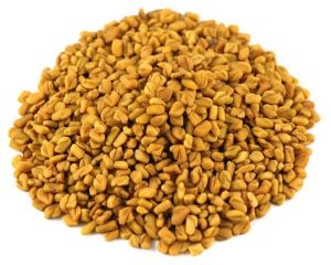 Fenugreek Seed