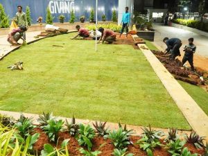 Garden Landscaping Designs