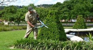 Garden Maintenance Service