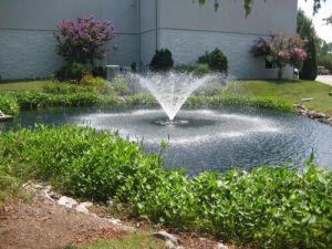 Water Fountain Maintenance Service