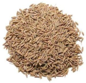 fresh cumin seeds