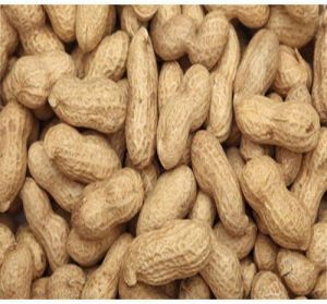 Raw Peanut