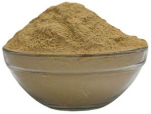 Bhumi Amla Powder