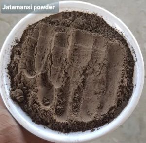 Jatamansi Powder