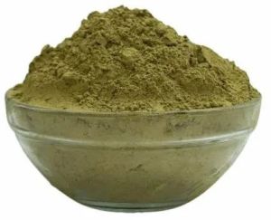 Kalmegh Powder