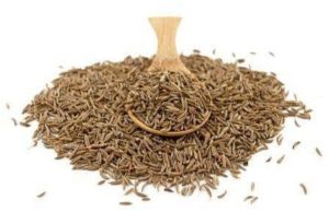 Organic Caraway Seeds