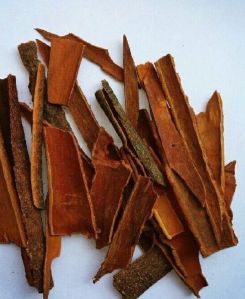 Organic Cinnamon Bark