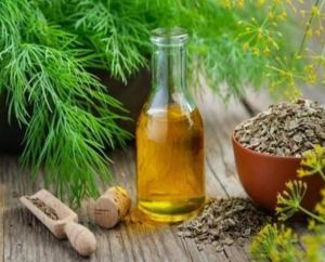 Organic Dill Seed Oil