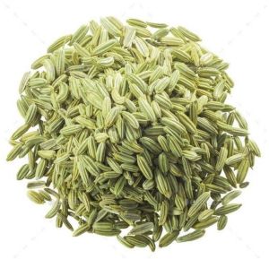 Organic Fennel Seeds