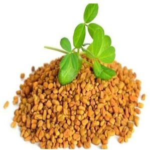 Organic Fenugreek Seeds