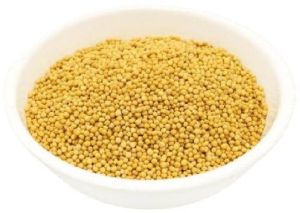 Organic Yellow Mustard Seeds