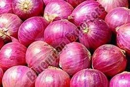 Fresh Red Onion