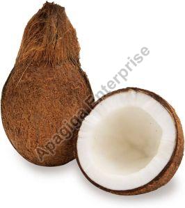 Fresh Coconut