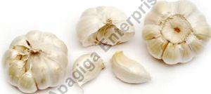 Fresh Garlic