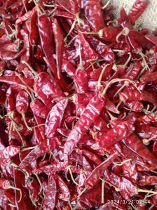 Dried Red Chili