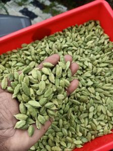 Green Cardamom