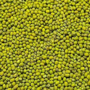 Green Moong Dal