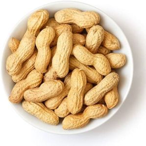 Groundnut