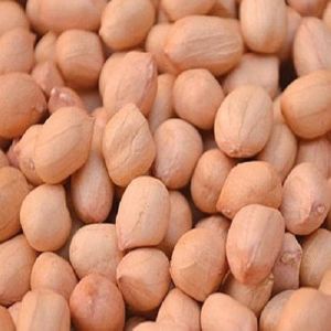 Java Peanuts