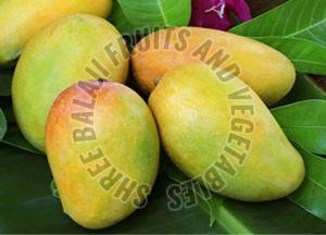 Pure Kesar Mango