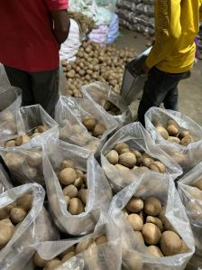 Dried Copra Coconut