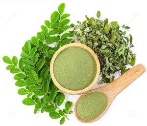 Moringa Leafs Powder