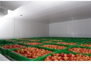 Apple Cold Storage Services