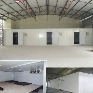 Industrial Cold Storage Rooms