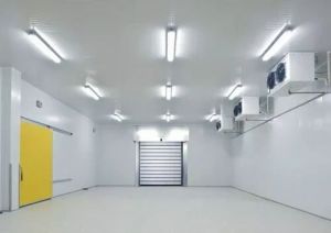 Modular Cold Rooms Service