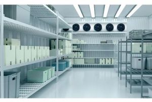 Pharma Cold Storage Services