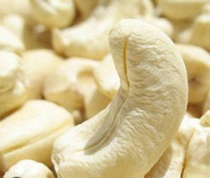 Cashew Kernel