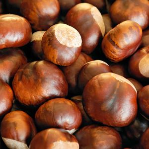 Chestnuts