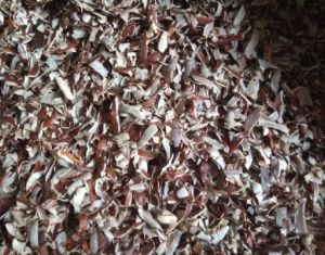 coconut peelings