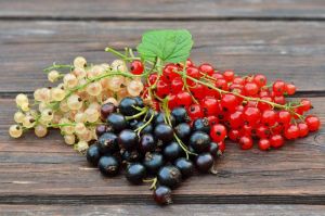 Currants