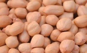 Java Peanuts