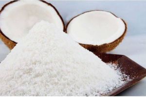 Low Fat Desiccated Coconut Powder