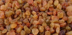 Malayar Raisins