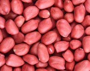 Red Peanut Kernel