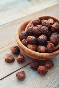 Soapnuts