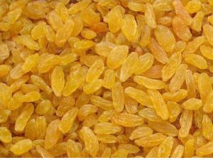 Yellow Raisins