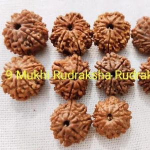 9 Mukhi Rudraksha Beads