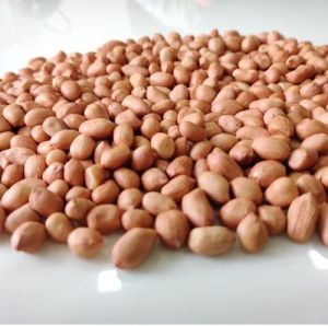 Raw Groundnut Seeds