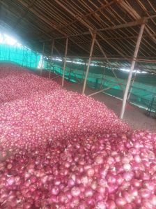 dehydrated pink onions