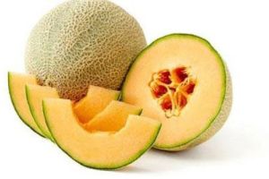 Fresh Muskmelon