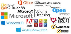 Microsoft Office Software