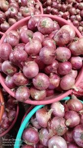 Onions