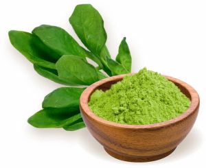 Spinach Powder